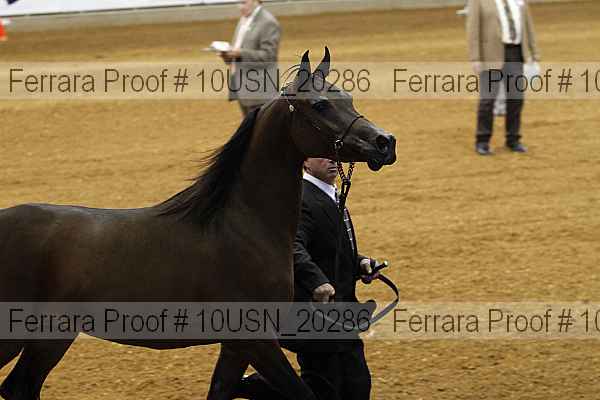 Proof 10usn_20286