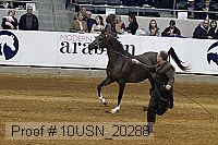 10usn_20288 proof