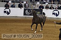 10usn_20289 proof