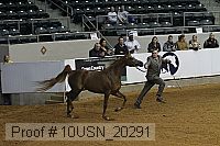 10usn_20291 proof