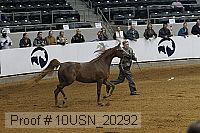 10usn_20292 proof