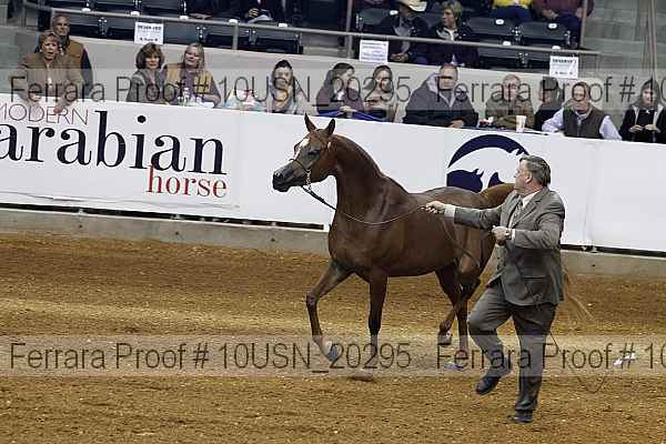 Proof 10usn_20295
