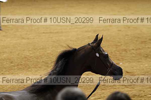 Proof 10usn_20299