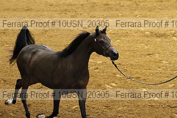 Proof 10usn_20305