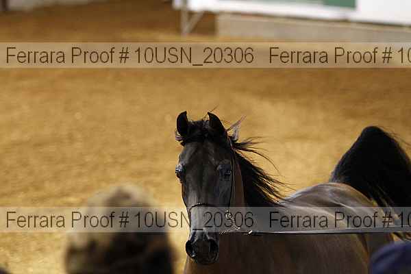 Proof 10usn_20306