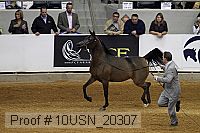 10usn_20307 proof