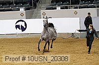 10usn_20308 proof
