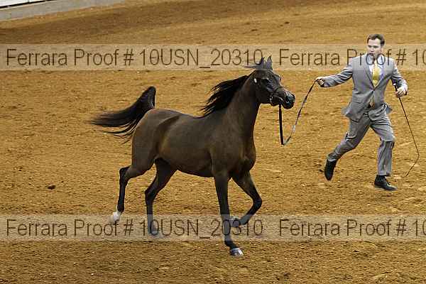 Proof 10usn_20310