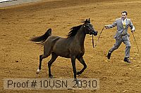 10usn_20310 proof