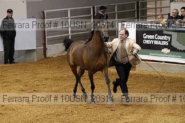 Proof 10usn_20314