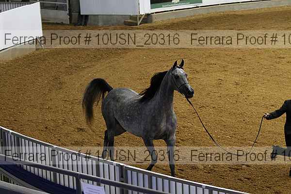 Proof 10usn_20316