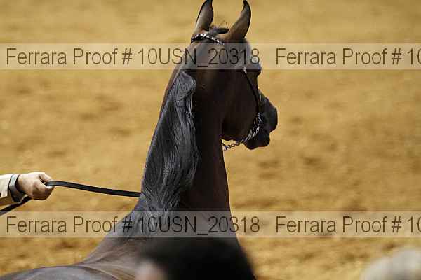 Proof 10usn_20318