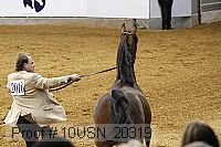 10usn_20319 proof