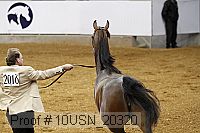 10usn_20320 proof