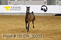 10usn_20323 proof