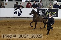10usn_20326 proof