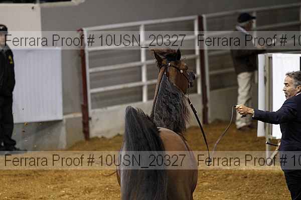 Proof 10usn_20327