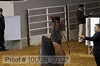 10usn_20327 proof