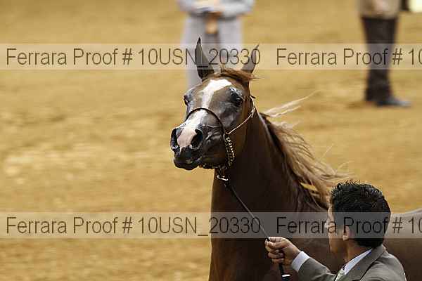 Proof 10usn_20330