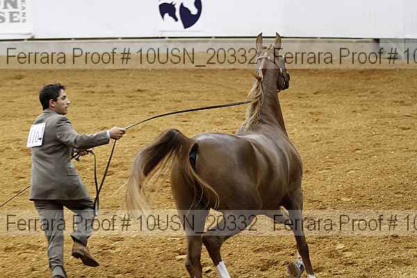 Proof 10usn_20332