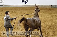 10usn_20332 proof