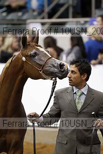 Proof 10usn_20335