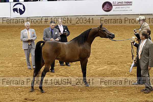 Proof 10usn_20341