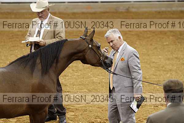 Proof 10usn_20343
