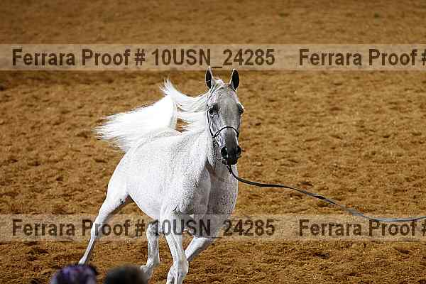 Proof 10usn_24285