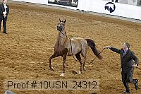 10usn_24312 proof
