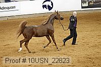 10usn_22823 proof