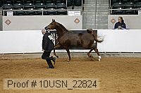 10usn_22824 proof