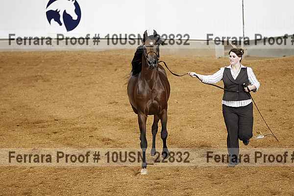 Proof 10usn_22832