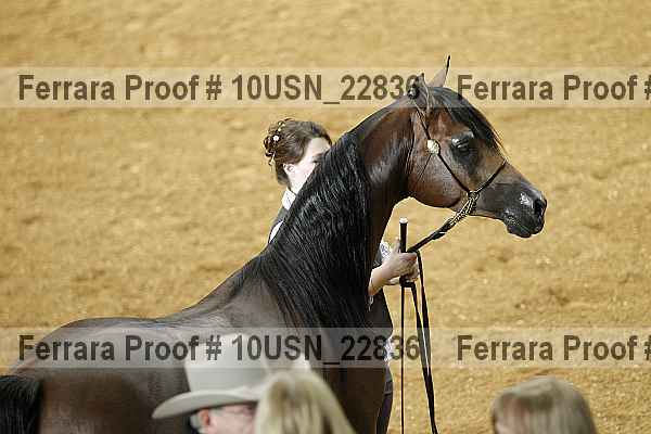 Proof 10usn_22836