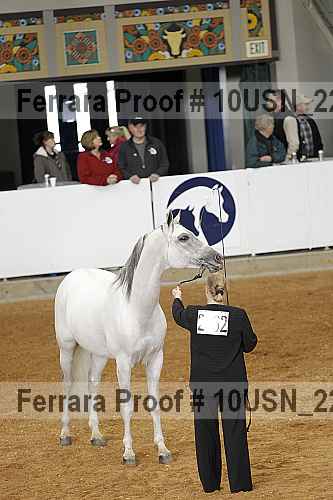 Proof 10usn_22844