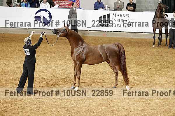 Proof 10usn_22859