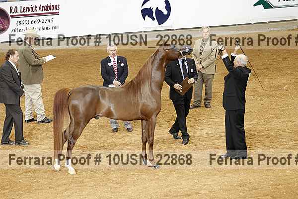 Proof 10usn_22868
