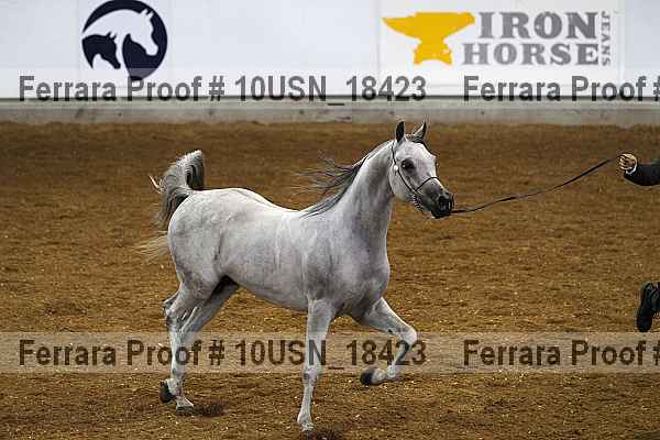Proof 10usn_18423
