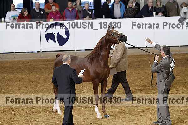 Proof 10usn_18430