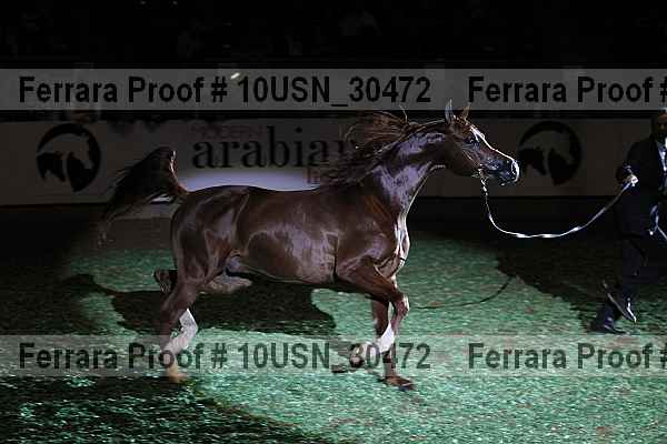 Proof 10usn_30472