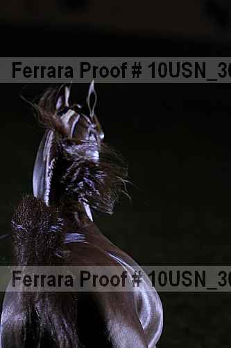 Proof 10usn_30475