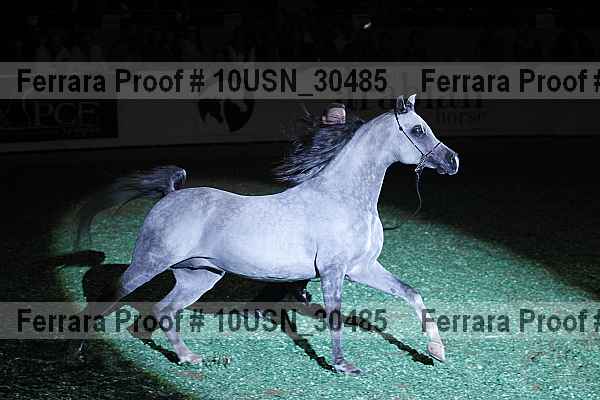 Proof 10usn_30485
