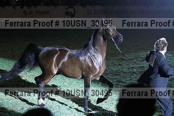 Proof 10usn_30495