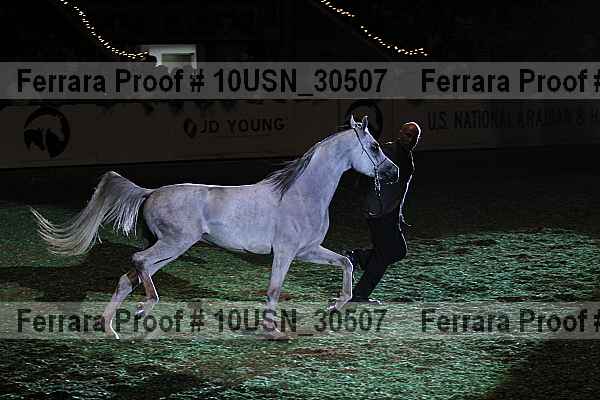 Proof 10usn_30507