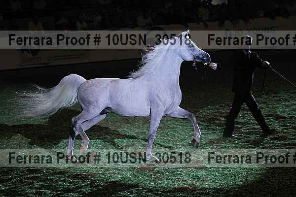 Proof 10usn_30518