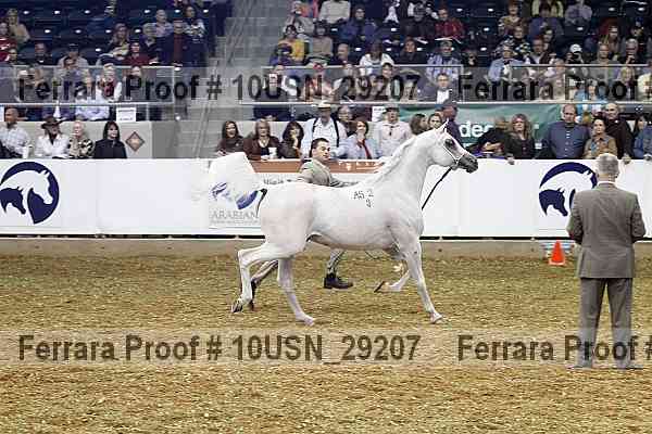 Proof 10usn_29207