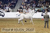 10usn_29207 proof