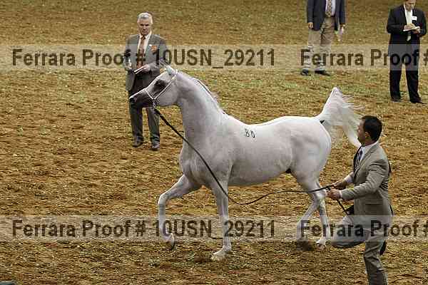 Proof 10usn_29211