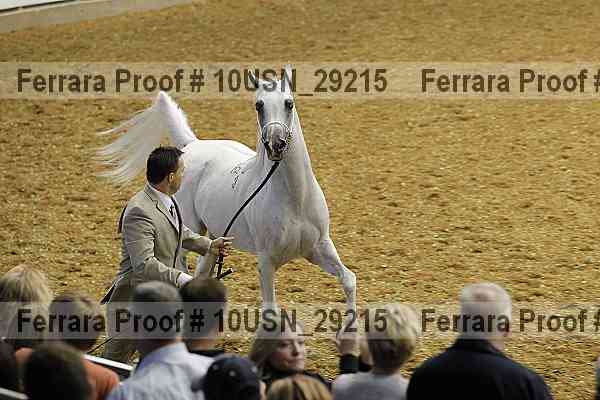 Proof 10usn_29215
