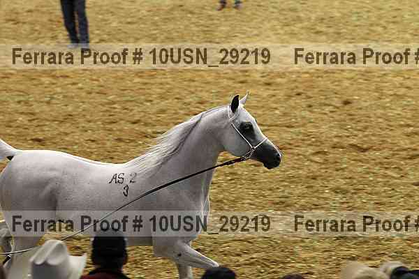 Proof 10usn_29219